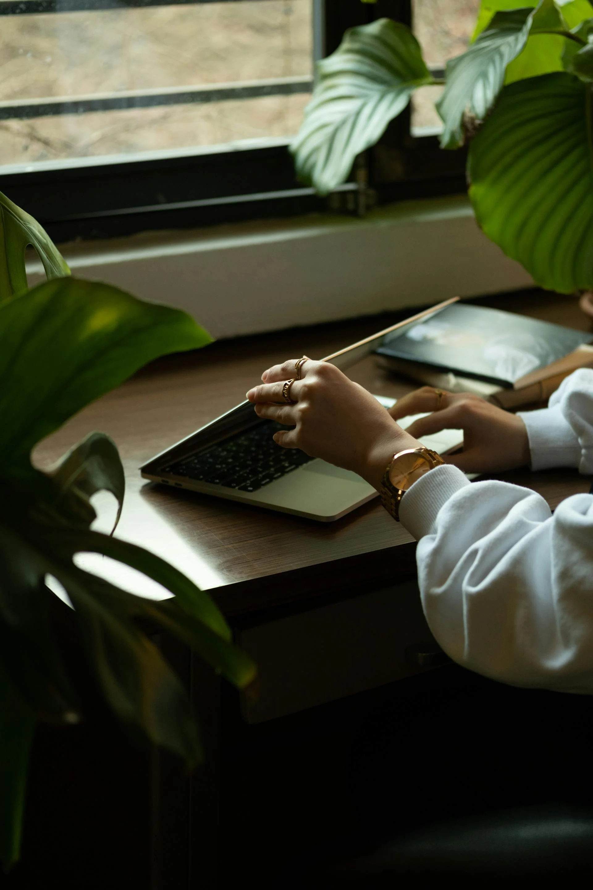 Person working on a laptop at a desk near a window surrounded by green plants.