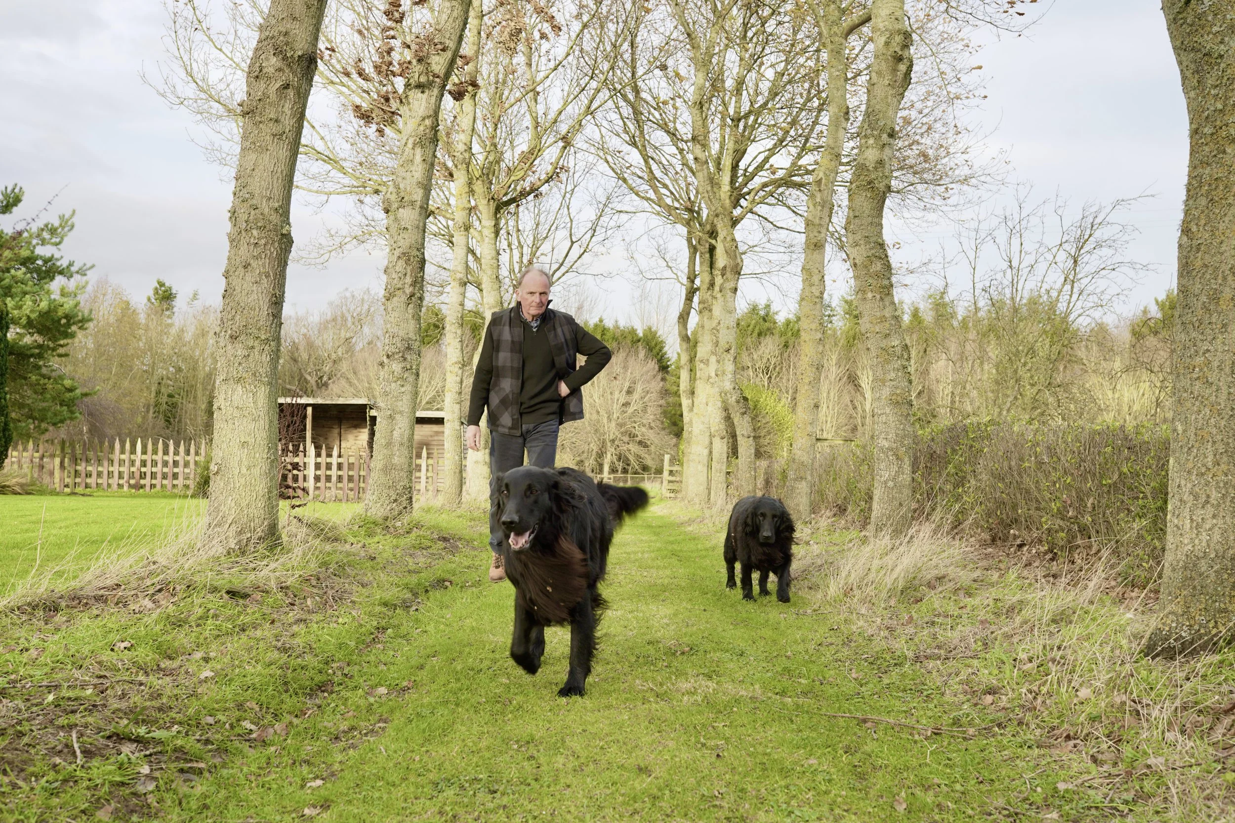A man walking two black dogs on a grassy path lined with trees in a park or garden.