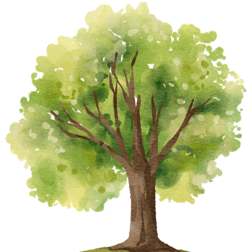 Watercolor illustration of a tall green tree with a brown trunk and lush foliage.