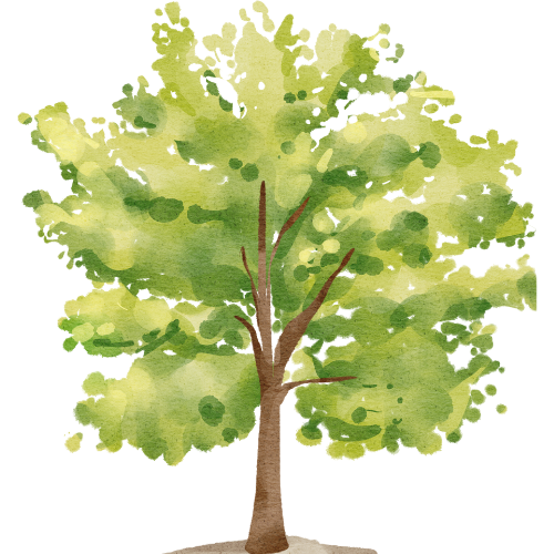 A watercolor illustration of a green leafy tree with a brown trunk.