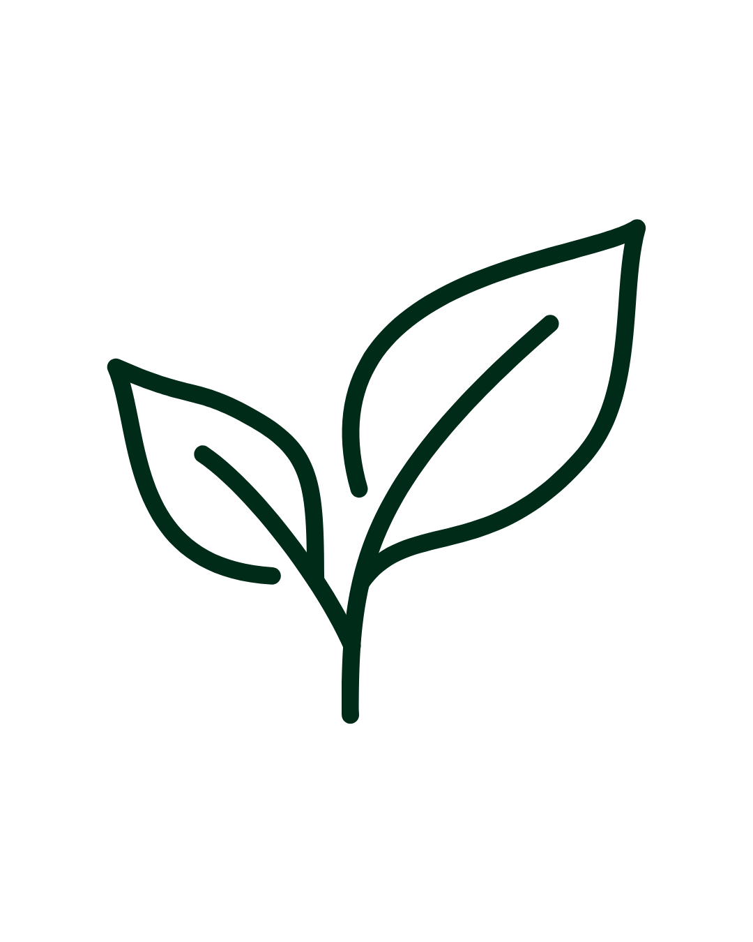 Outline of a plant with three leaves on a black background.