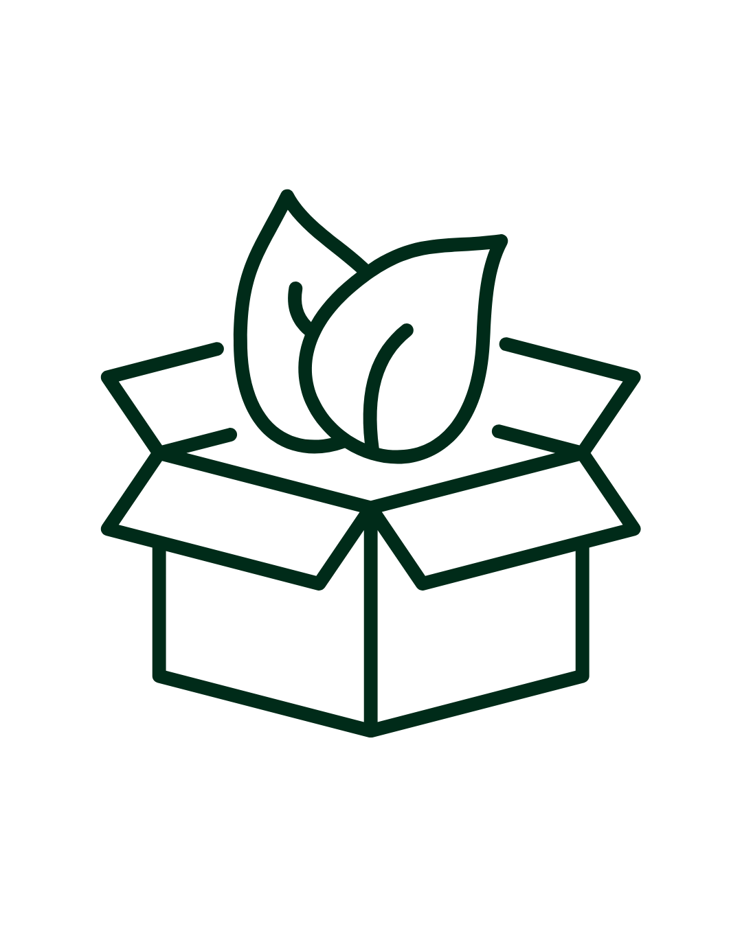 Line art illustration of an open box with three leaves emerging from it.