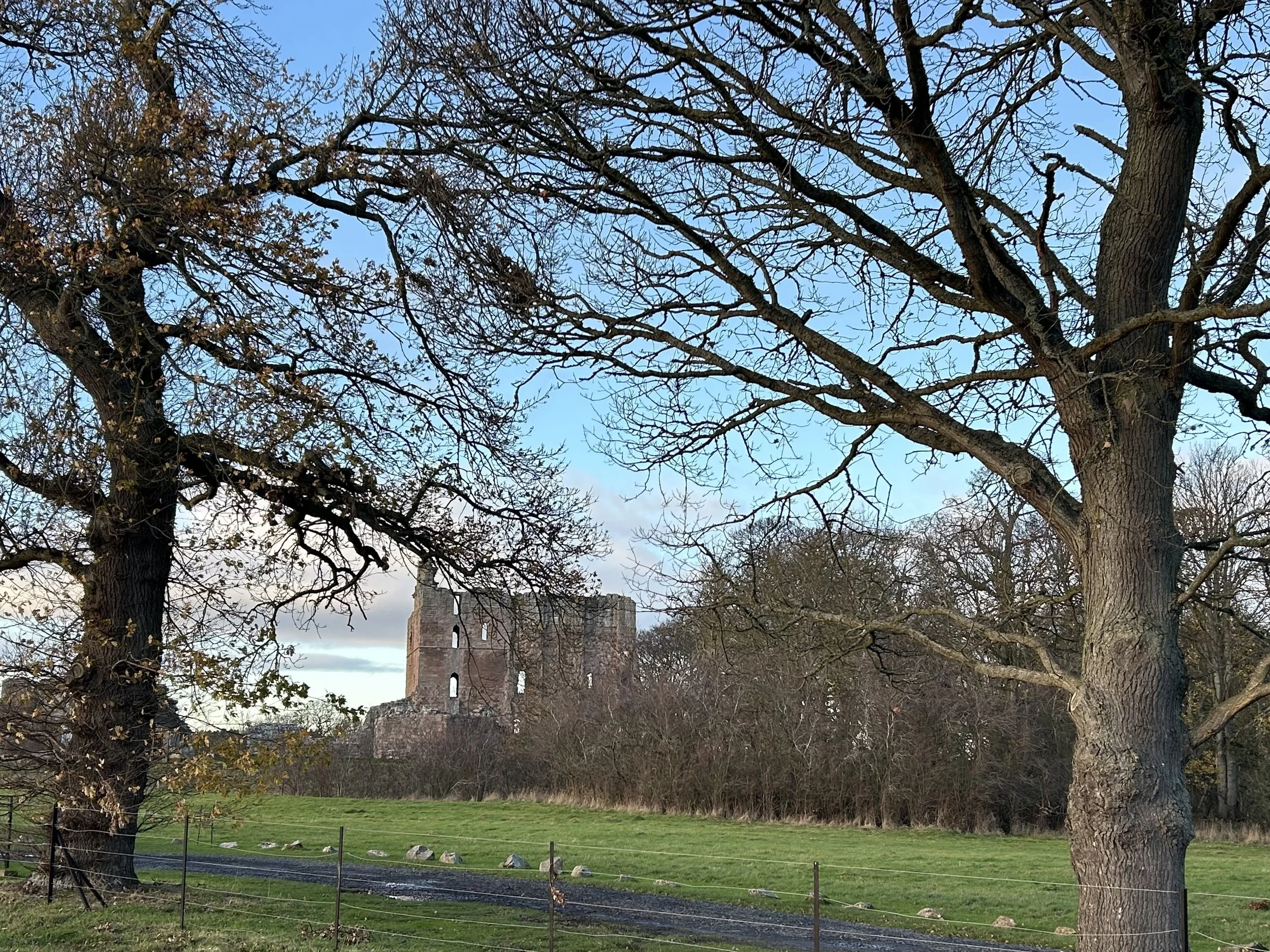 Ruined stone castle on a hilltop with a grassy foreground, leafless trees, and a partly cloudy sky.