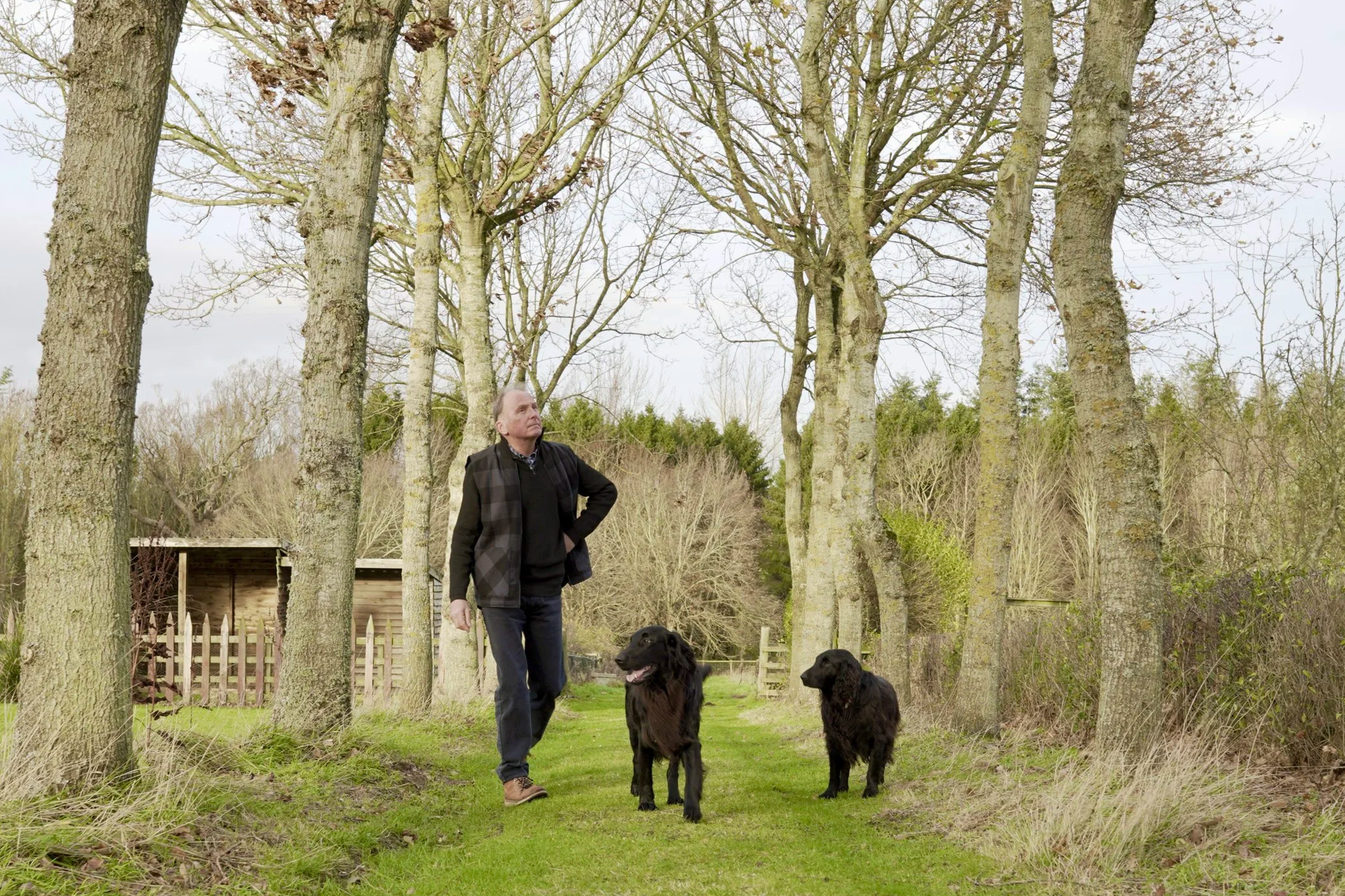 A man walking on a grassy path in a park with two black dogs, surrounded by leafless trees in early spring.
