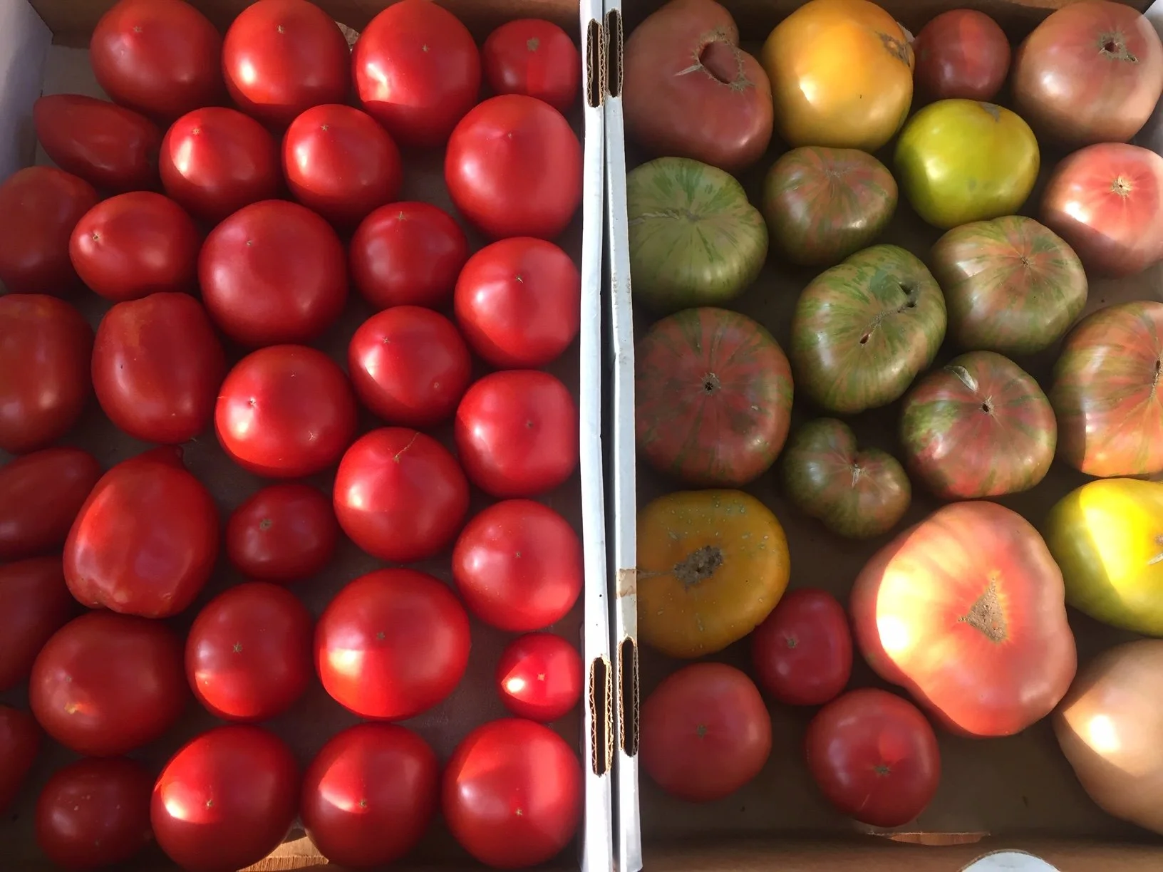 A box of red tomatoes on the left side and a box of green and red heirloom tomatoes on the right side.