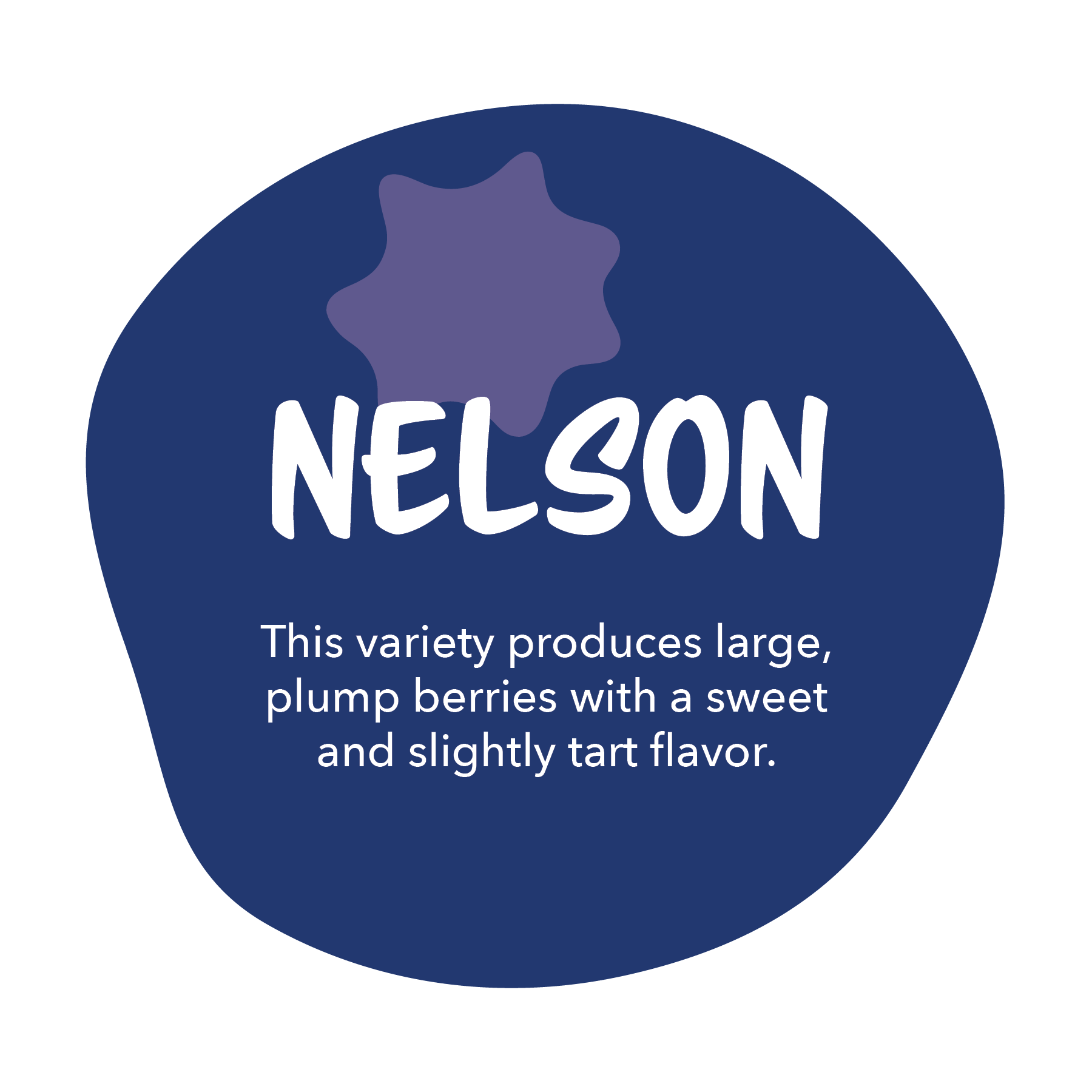 Nelson - This variety produces large, plump berries with a sweet and slightly tart flavor.