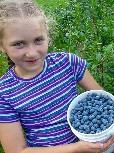 A girl smiles while holding a white bucket filled with blueberries.