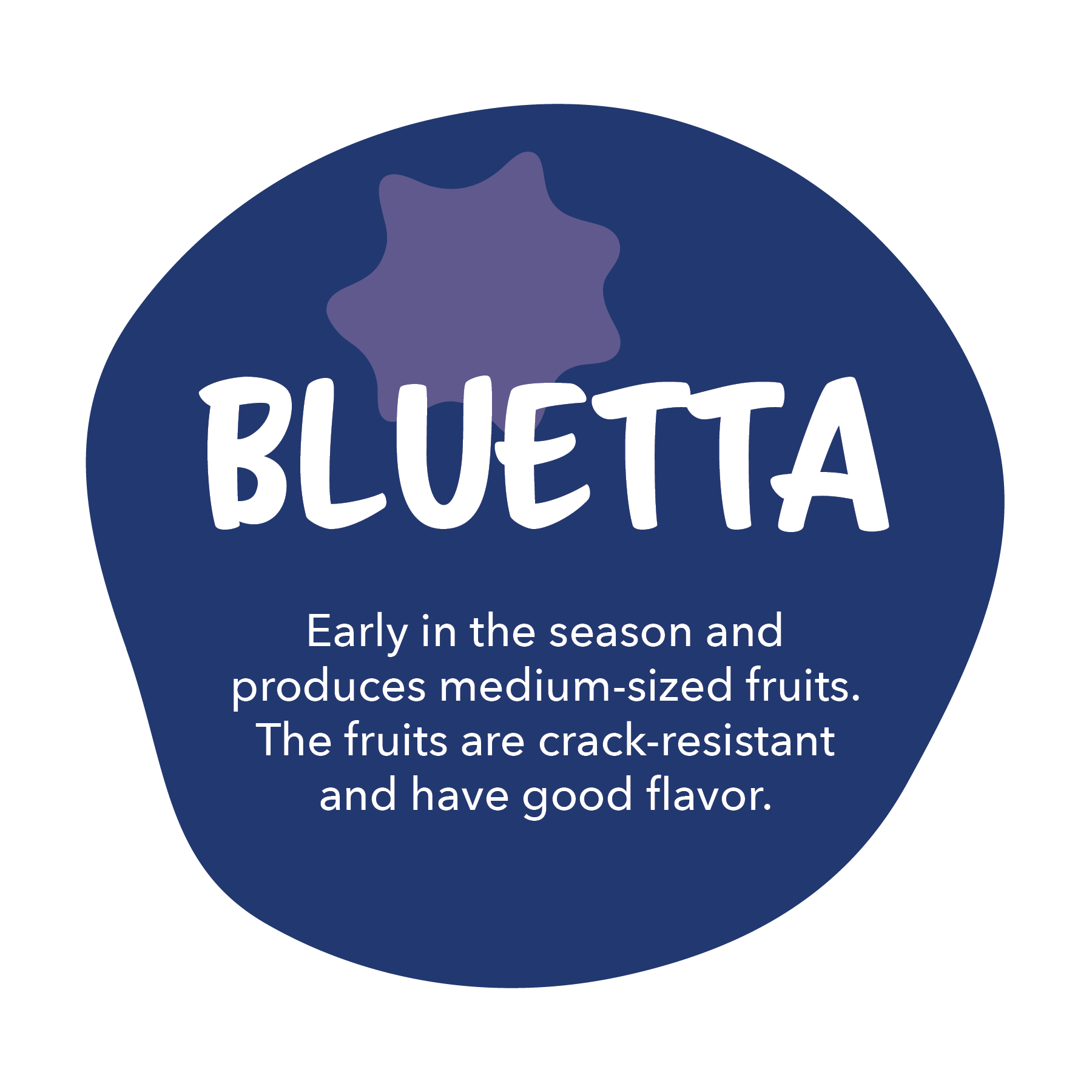 Bluetta - Early in the season and produces medium-sized fruits. The fruits are crack-resistant and have good flavor.