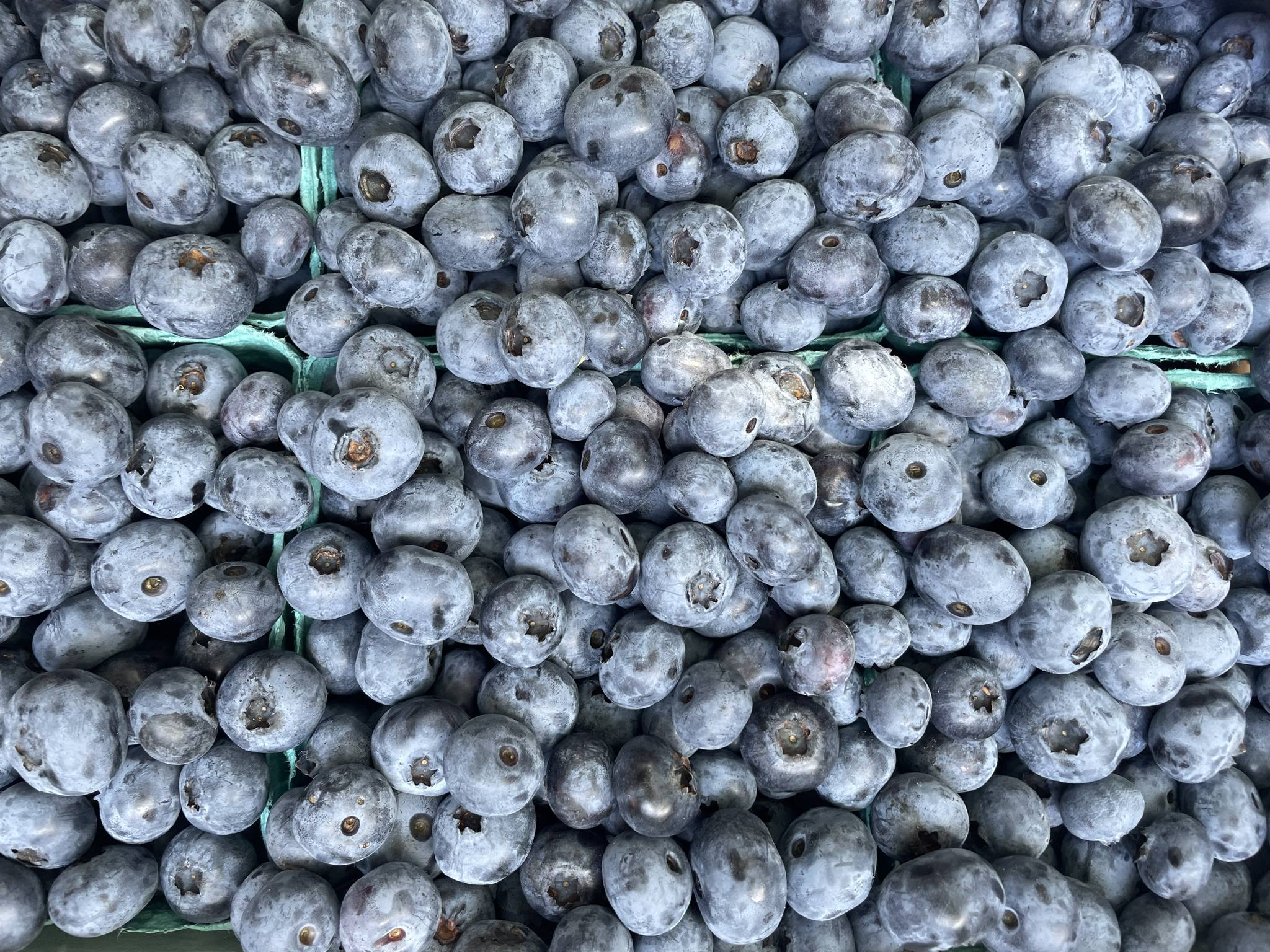 Close-up of fresh blueberries in green baskets.