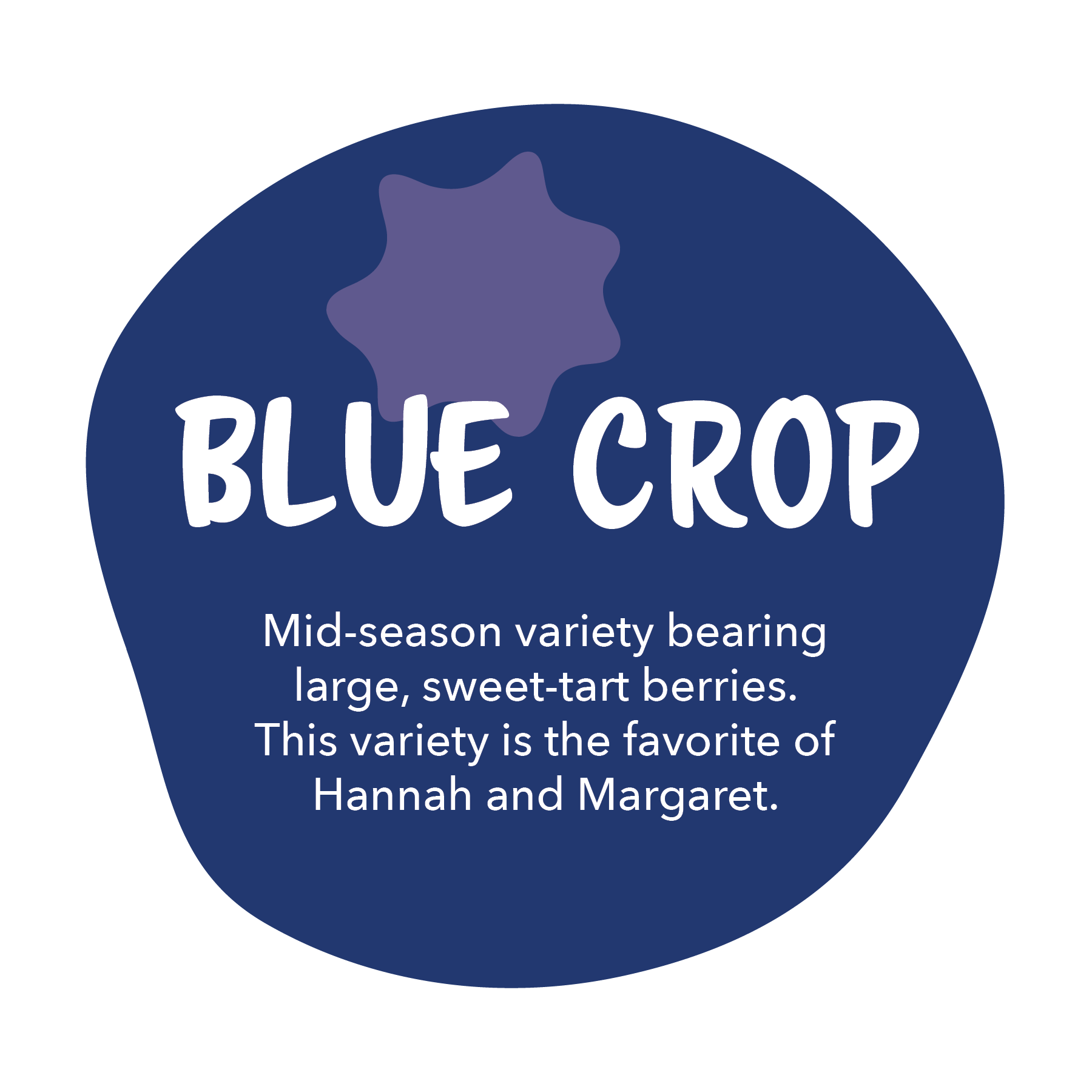 Blue Crop - Mid-season variety bearing large, sweet-tart berries. This variety is the favorite of Hannah and Margaret.