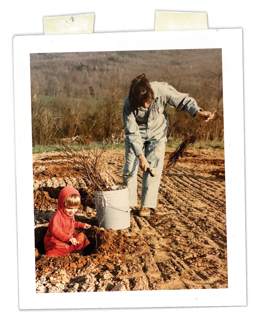 A woman prepares to plant bare root blueberry bushes in the soil. A little girl plays nearby.