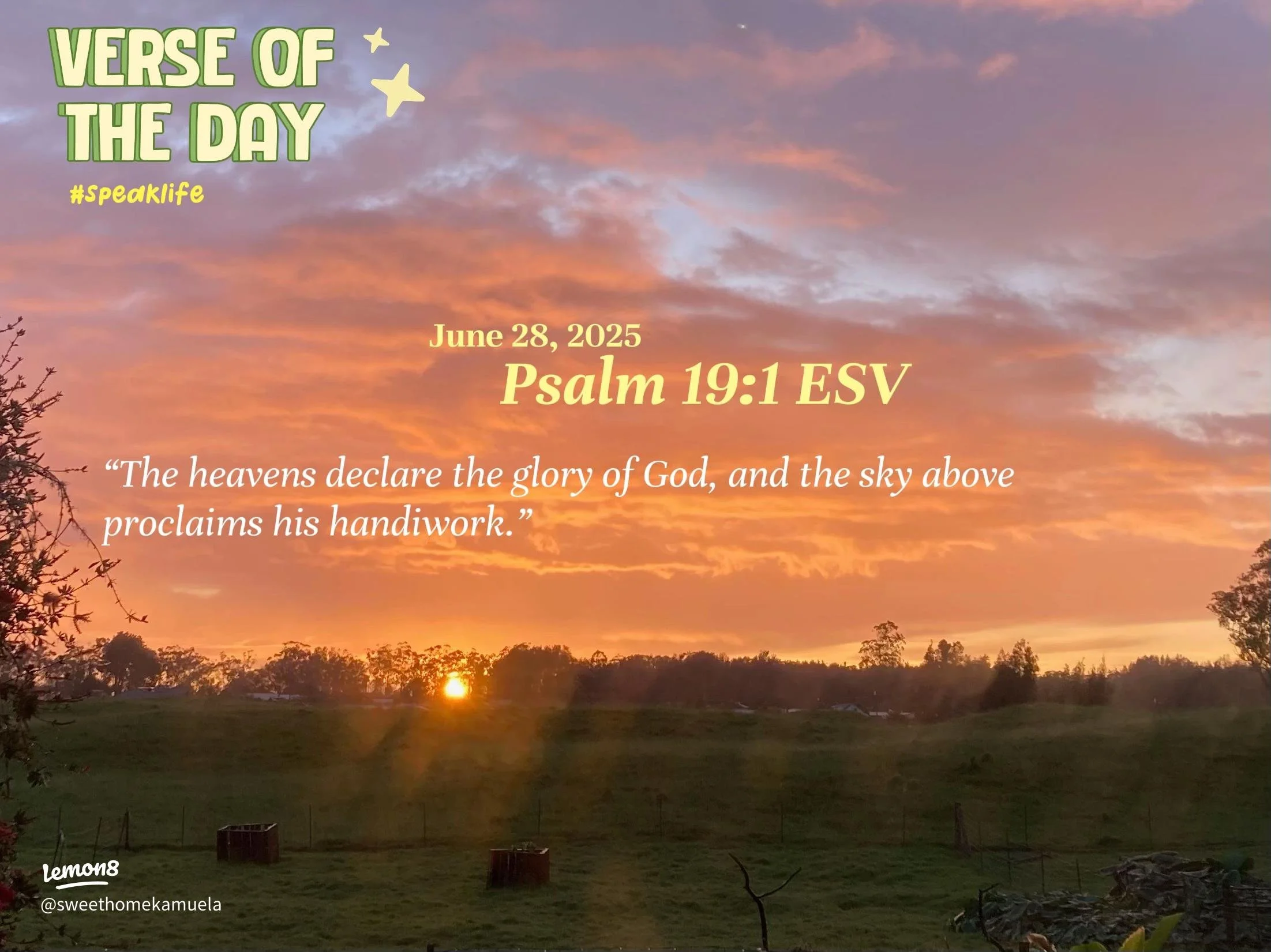 Psalm 6, 8-10,14,16,19,21