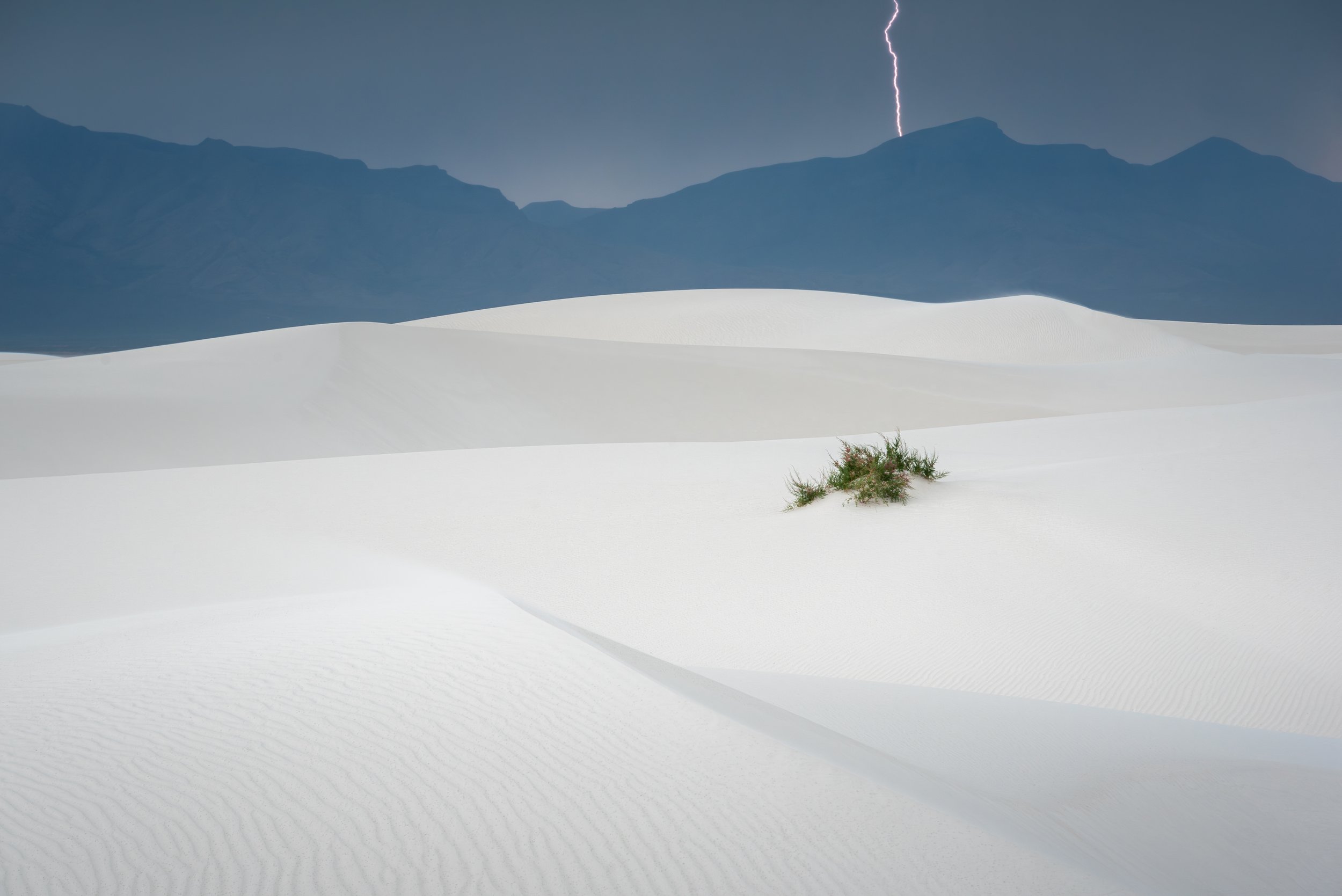 Desert with white sand dunes, a small green shrub, distant mountains, and lightning in the cloudy sky.