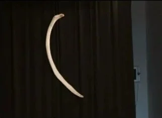 dia+whale+bone.jpg