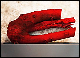 dia DSC06135 04 fr raw final.jpg