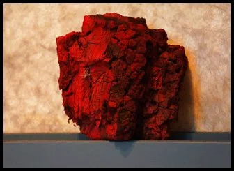 dia DSC06137 FINAL.jpg