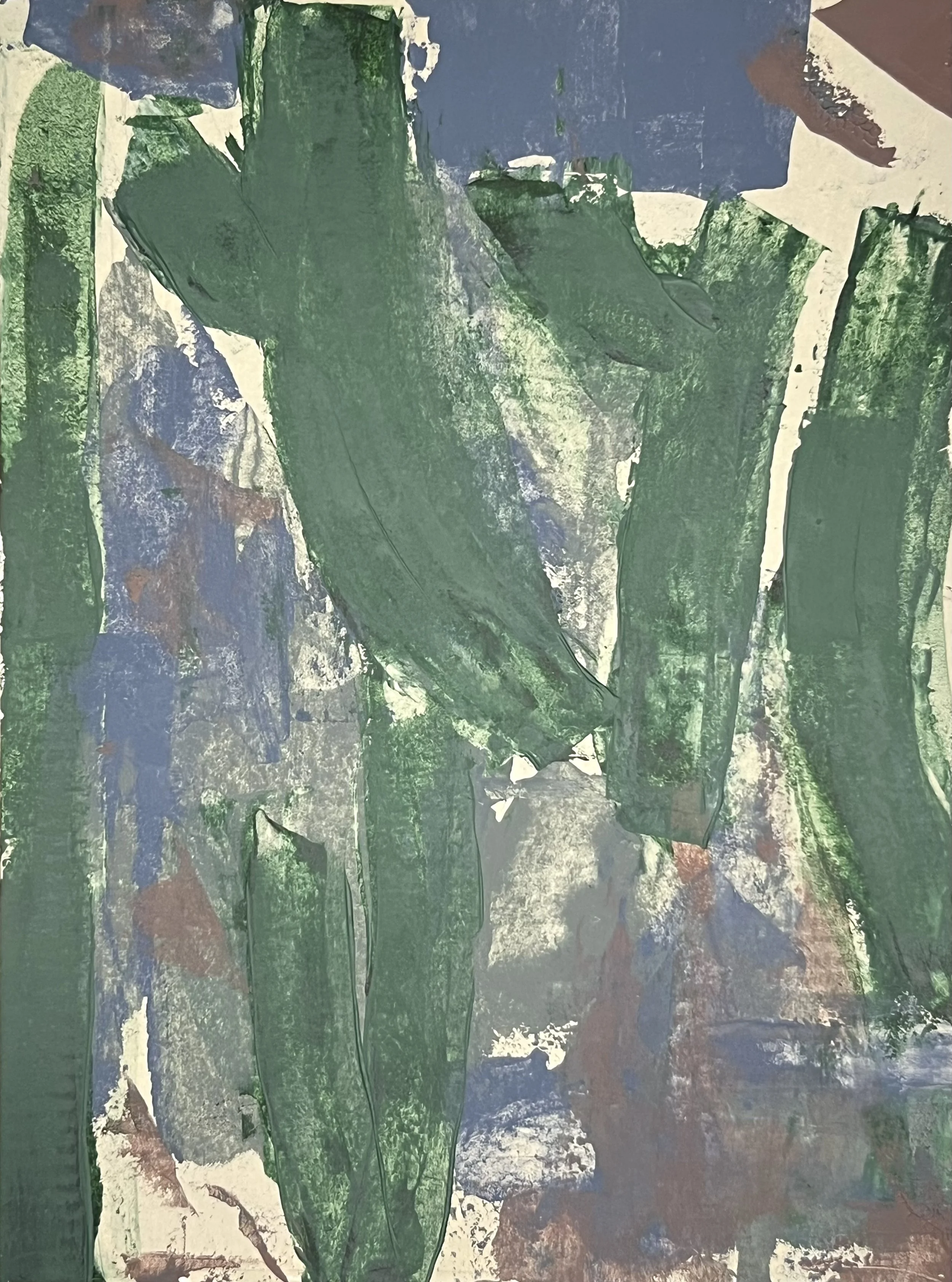 Pachycereus Marginatus