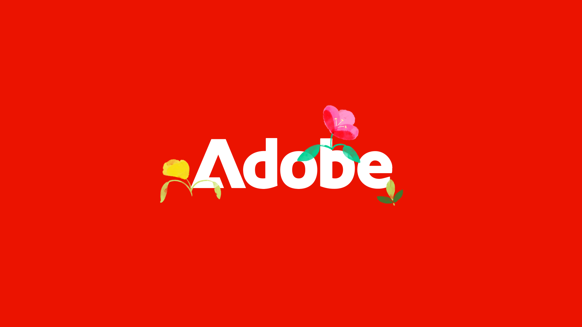 Adobe