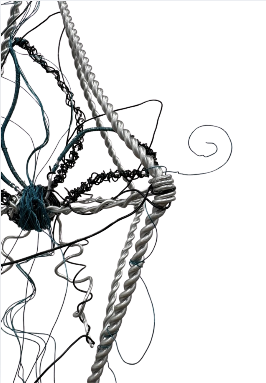 Screenshot 2026-03-11 at 12.12.27 PM.png