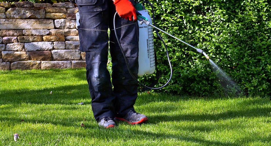 Landscaping Pest & Cleanup