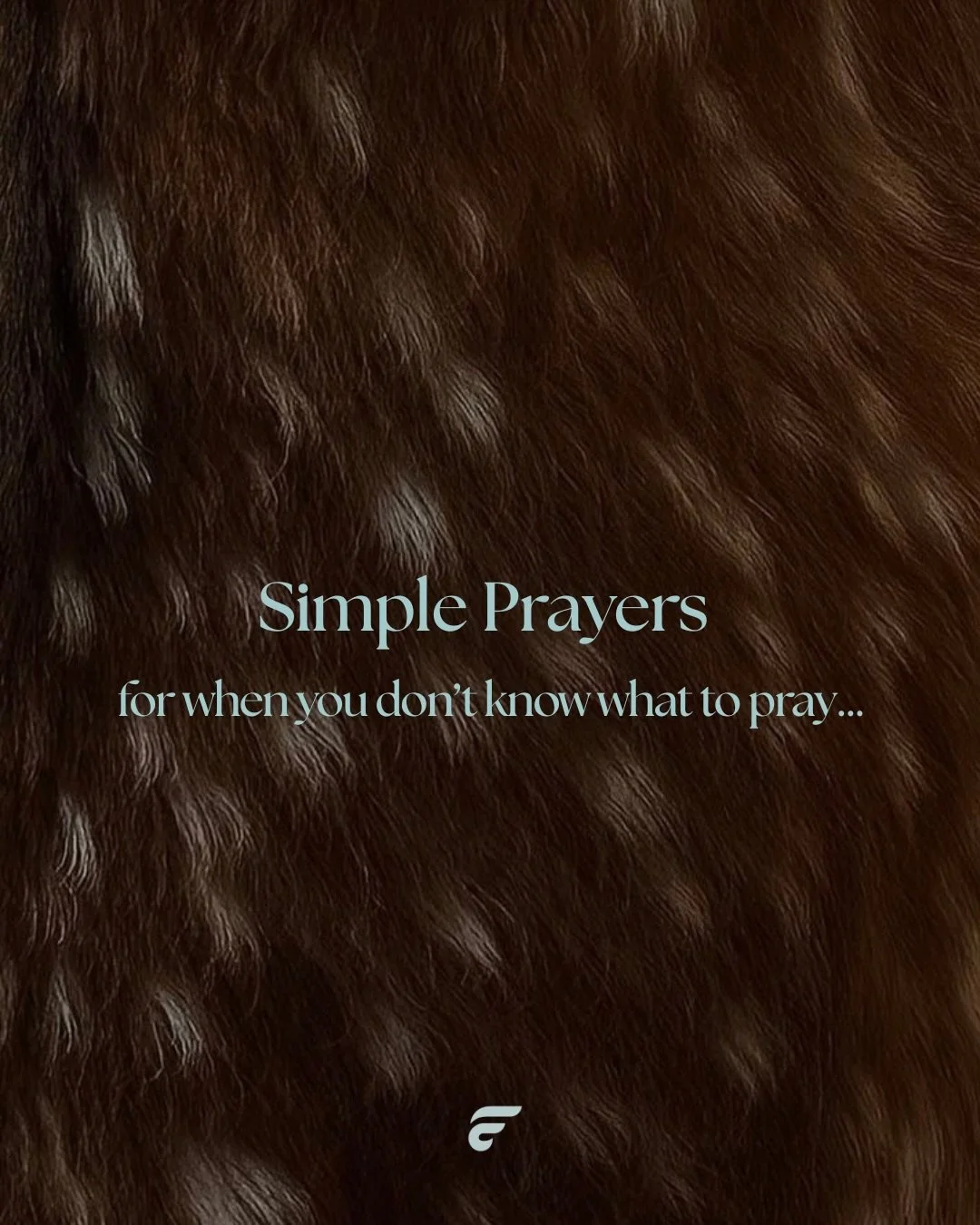 You have no idea what God might set in motion through a single simple prayer. 🙏