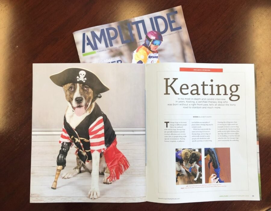 Keating the Amputee Therapy Dog Makes it Big in Amplitude Magazine