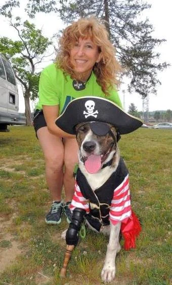 Pirate Pup Gets Pegleg