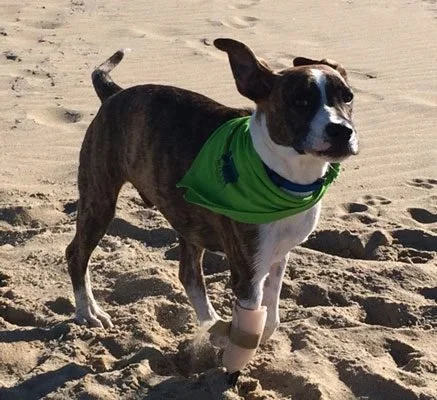 Road Trip to Virginia