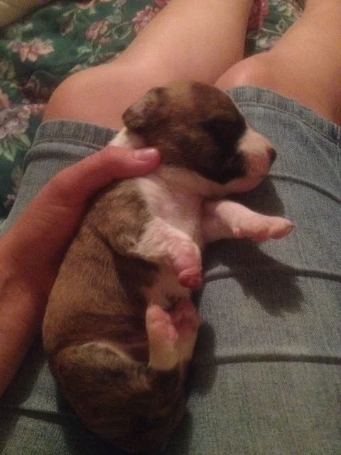 Keating’s Mom and Baby Pictures