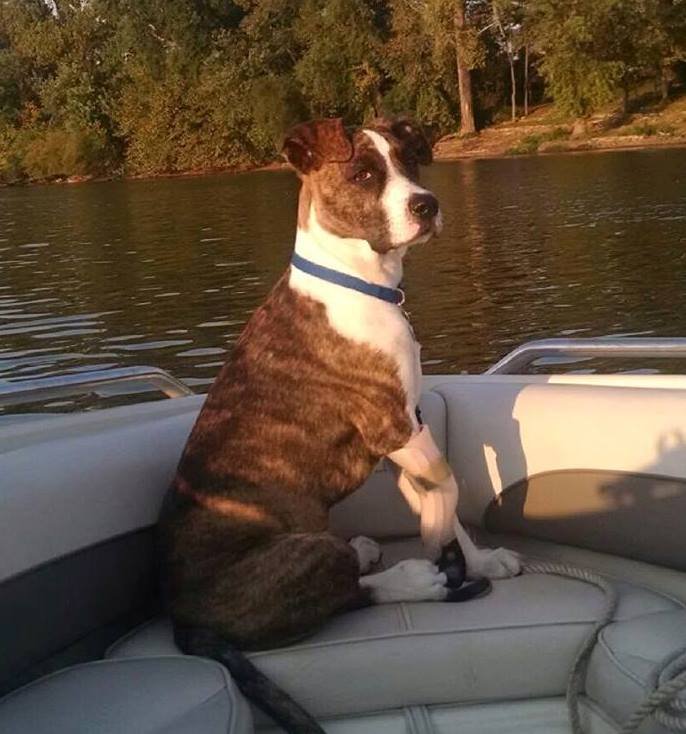 Keating the Navigator