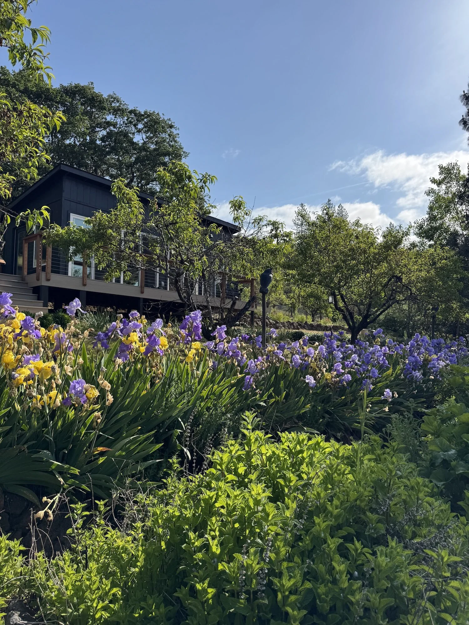 How to improve skin texture naturally in Oregon