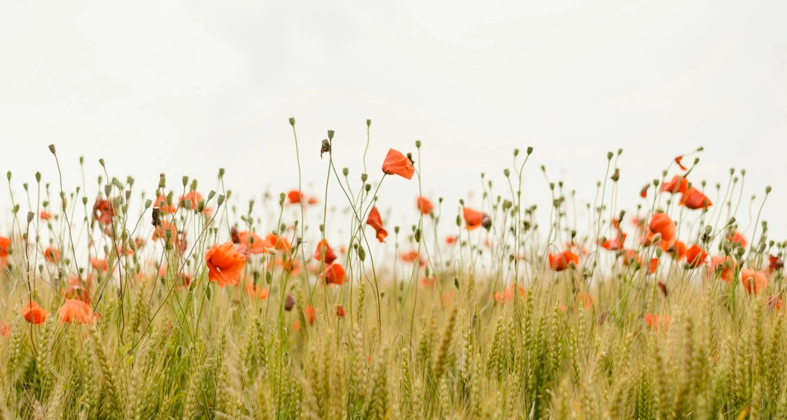 Clean skincare studio in Gold Hill, Oregon