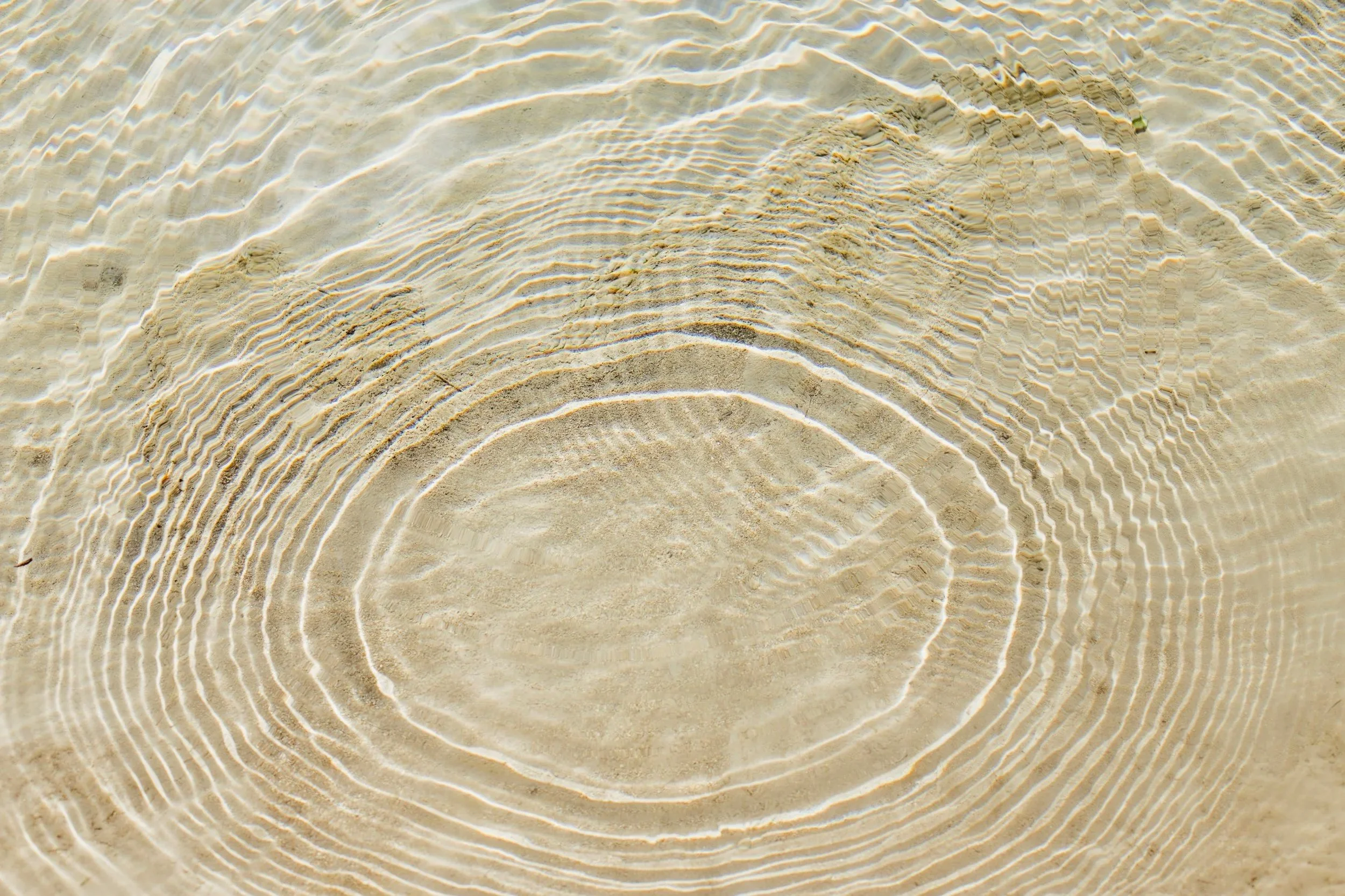 Close-up of a sandy beach with circular ripples in the wet sand.