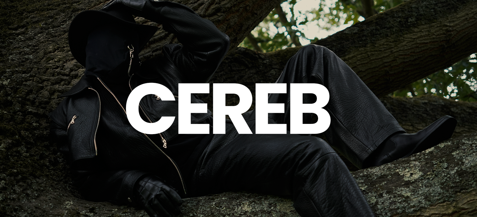 CEREB
