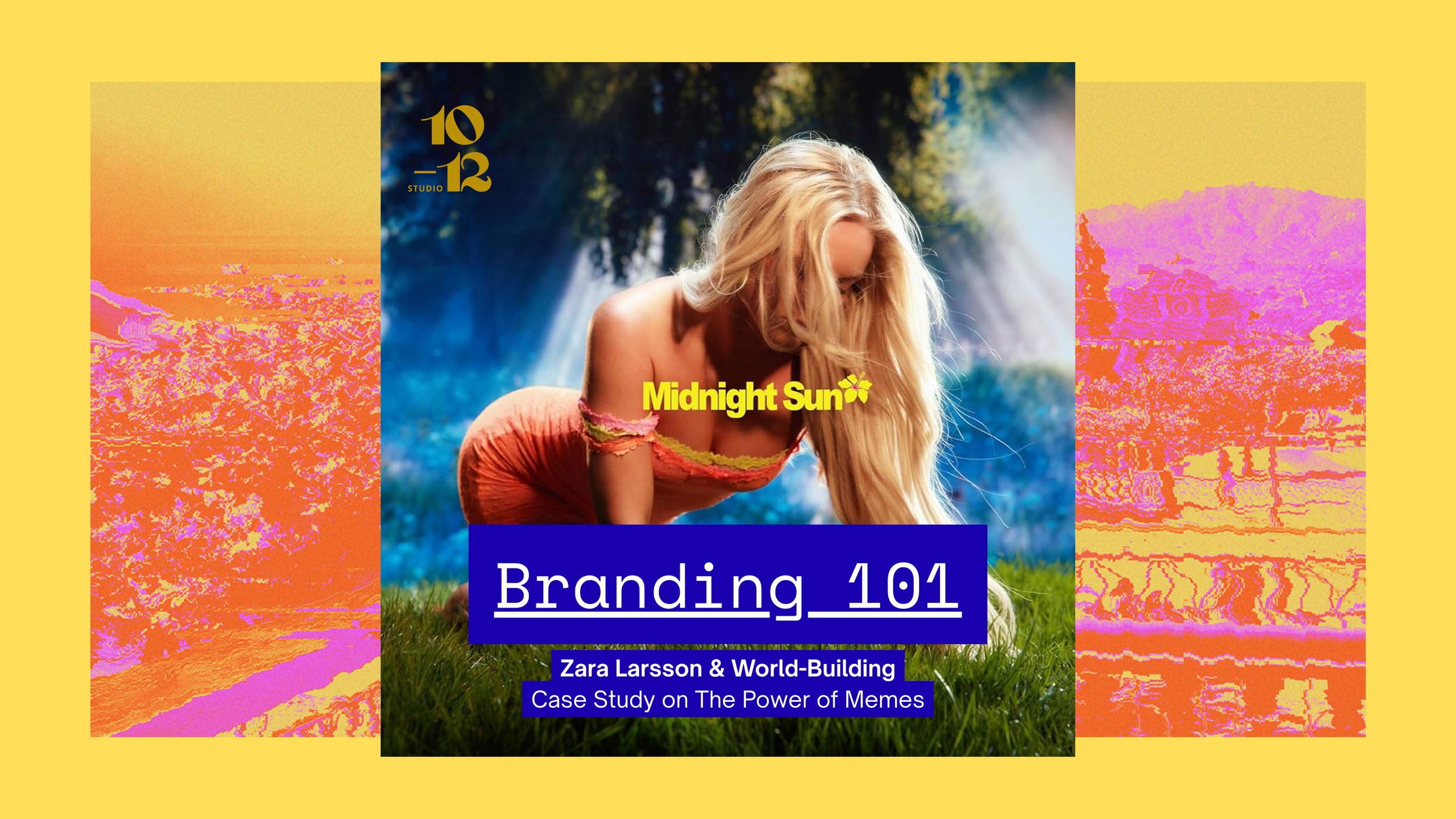 ZARA LARSSON (CONCEPTUAL)