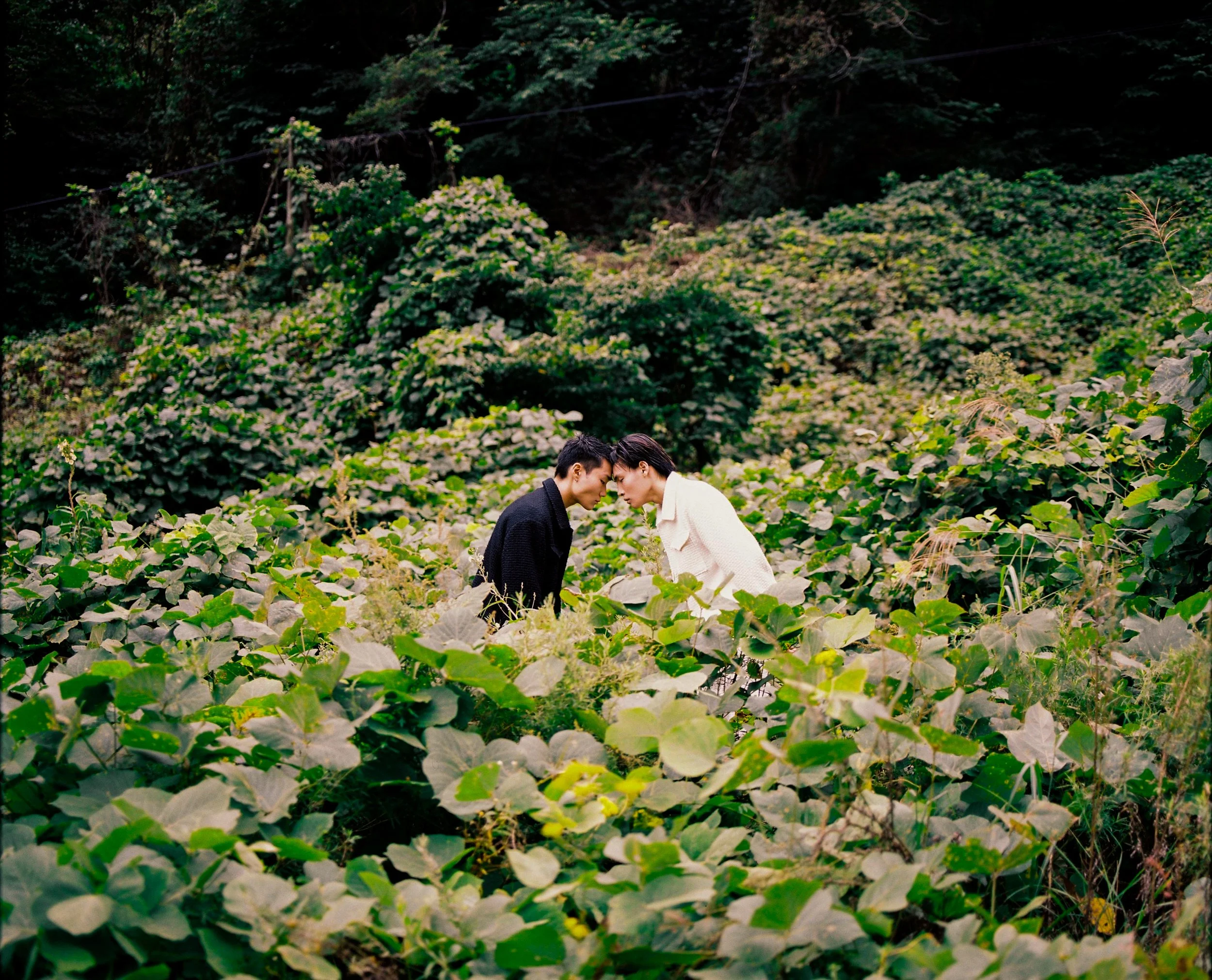 A couple stands face-to-face in a lush, green jungle filled with large leafy plants, with their foreheads touching and eyes closed.