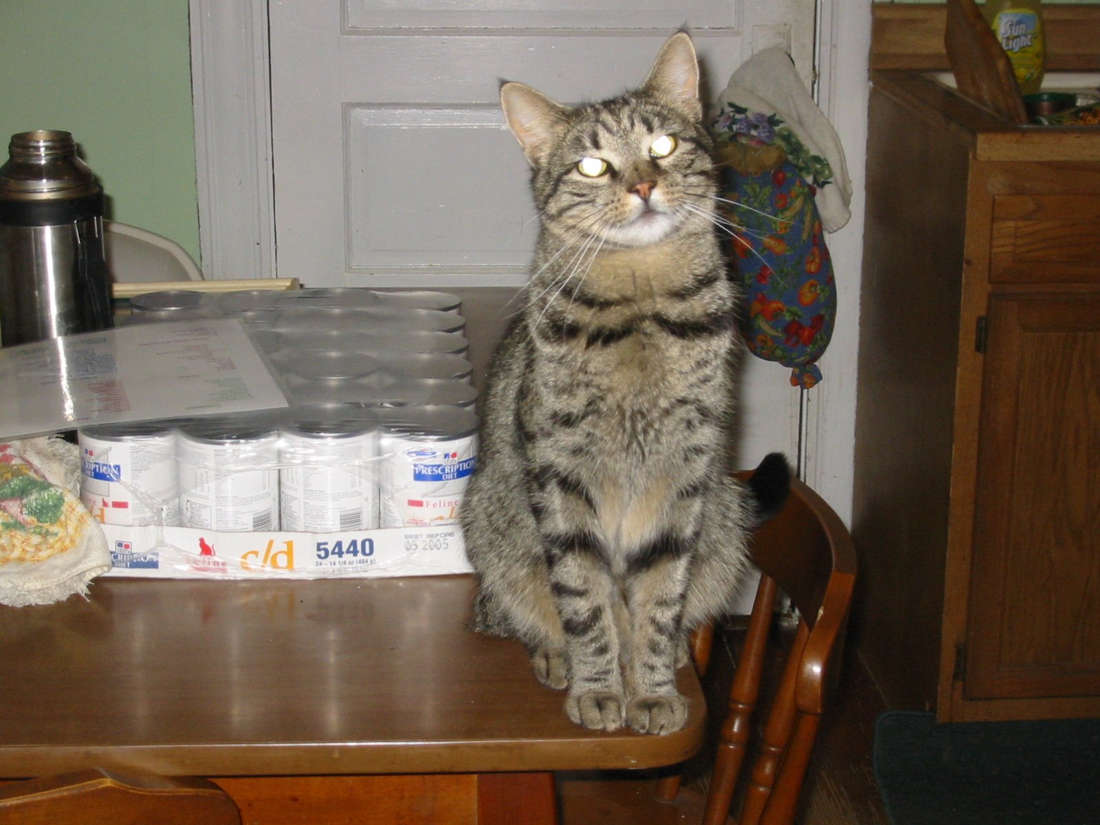 Buddha looking for food! (always...) 