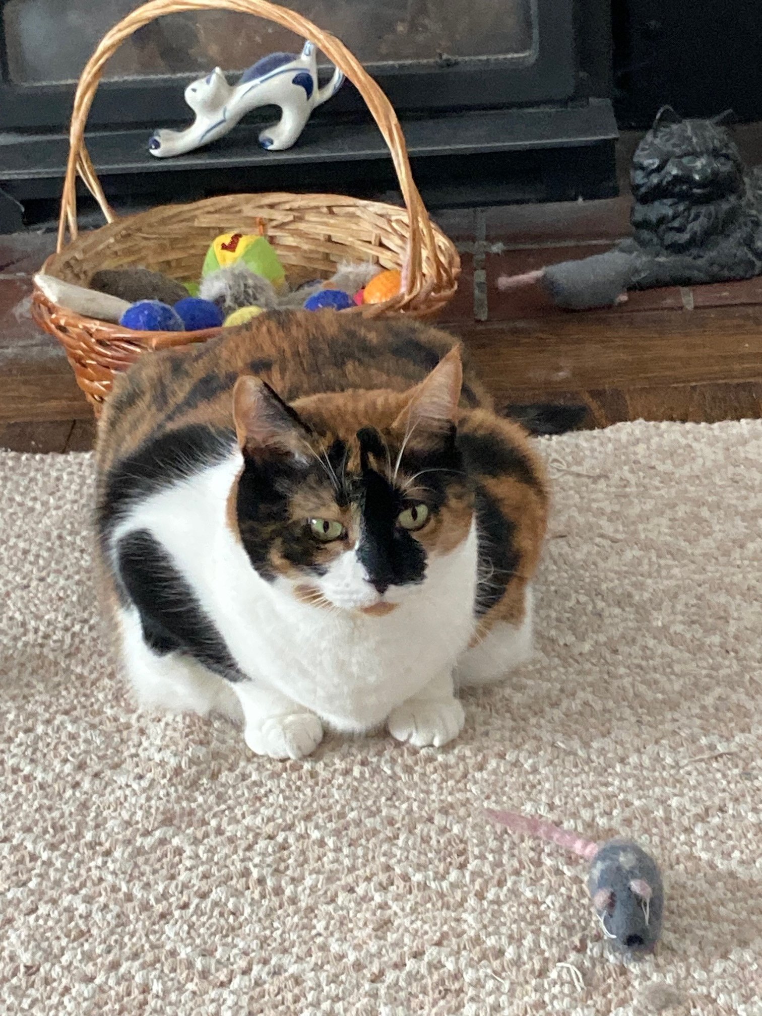Calico cat in front of a fireplace with a basket of Easter eggs and a ceramic dog figurine on the mantle. A gray mouse toy is on the floor near the cat.