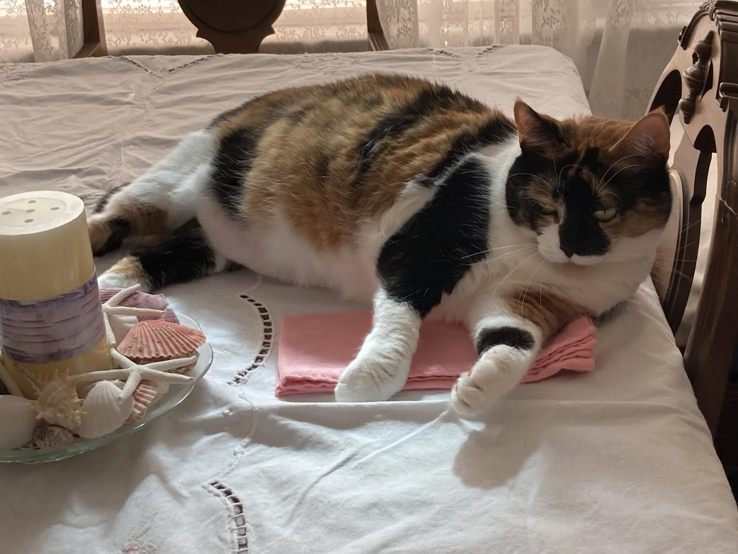 Minnie helping with the table linens