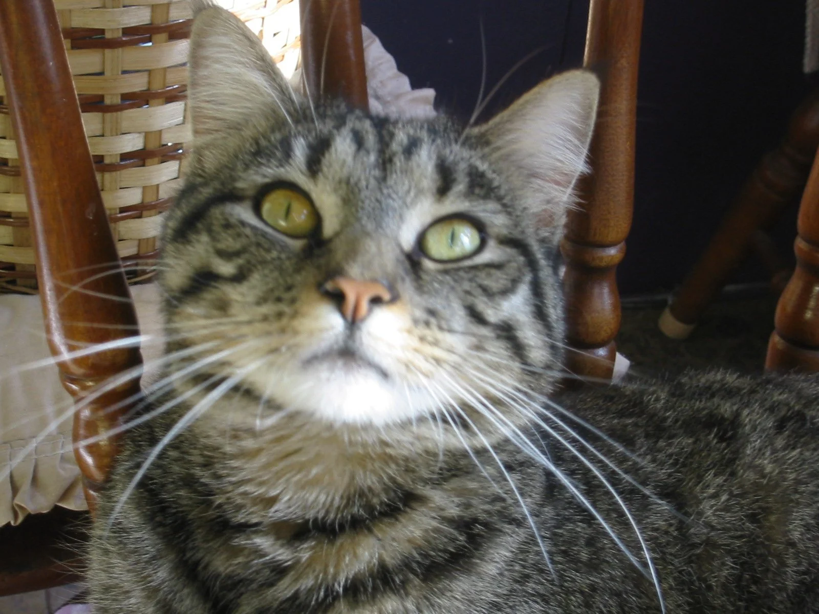 Jasper's beautiful innocent face