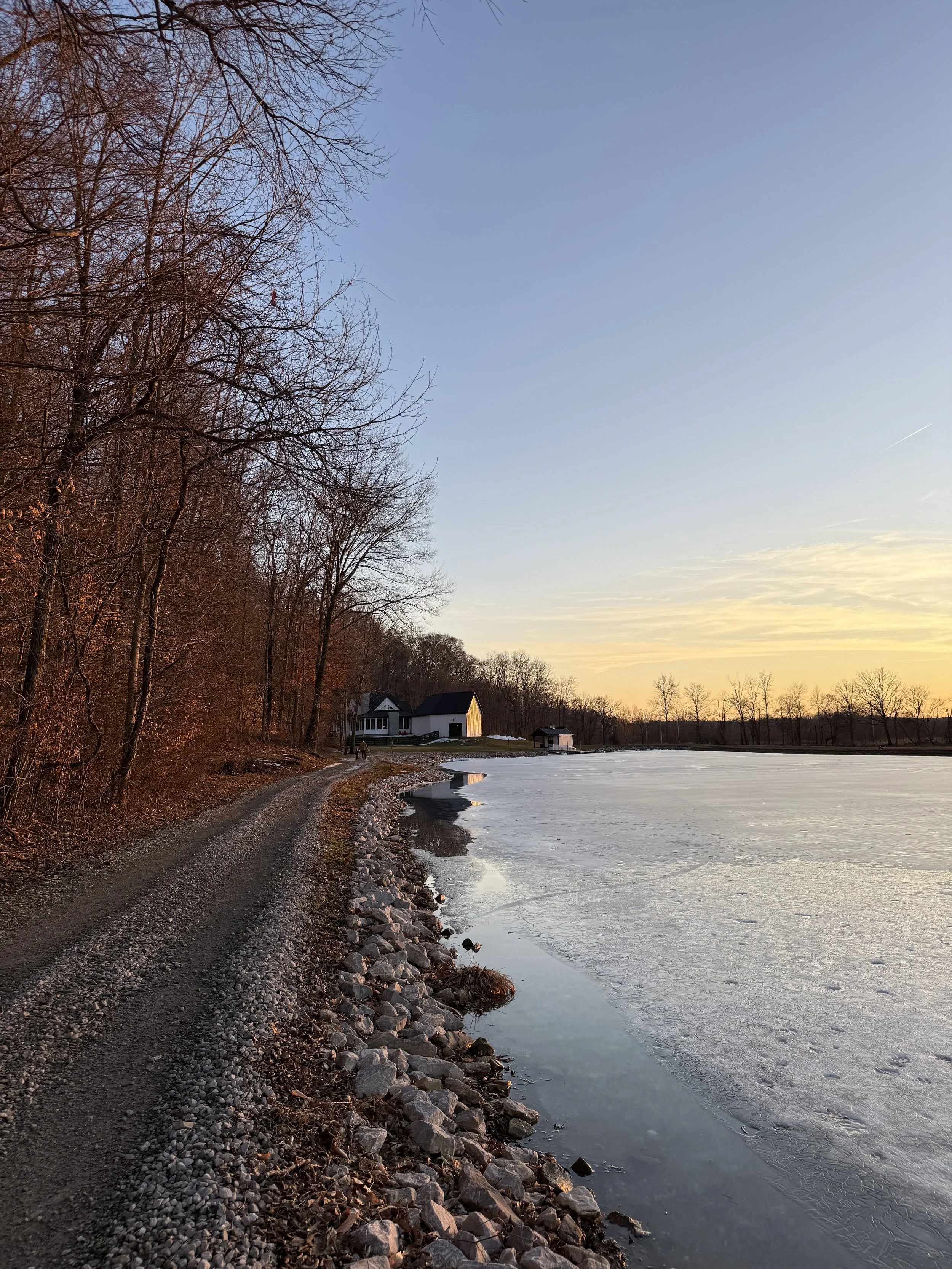 This Week On The Farm - February 16th