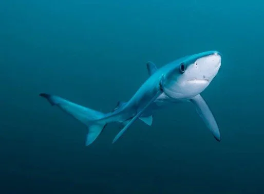 Screenshot 2026-01-11 143201.jpg