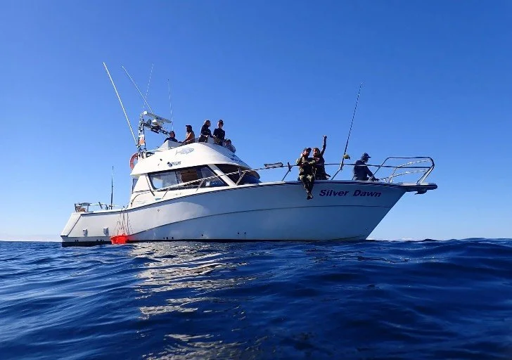 Screenshot 2026-01-11 143322.jpg