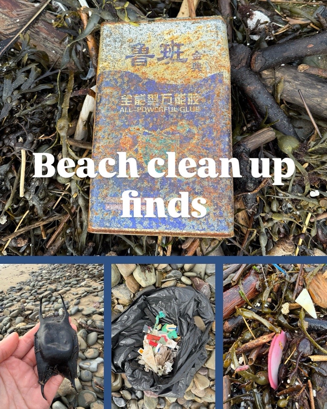 Beach clean up finds