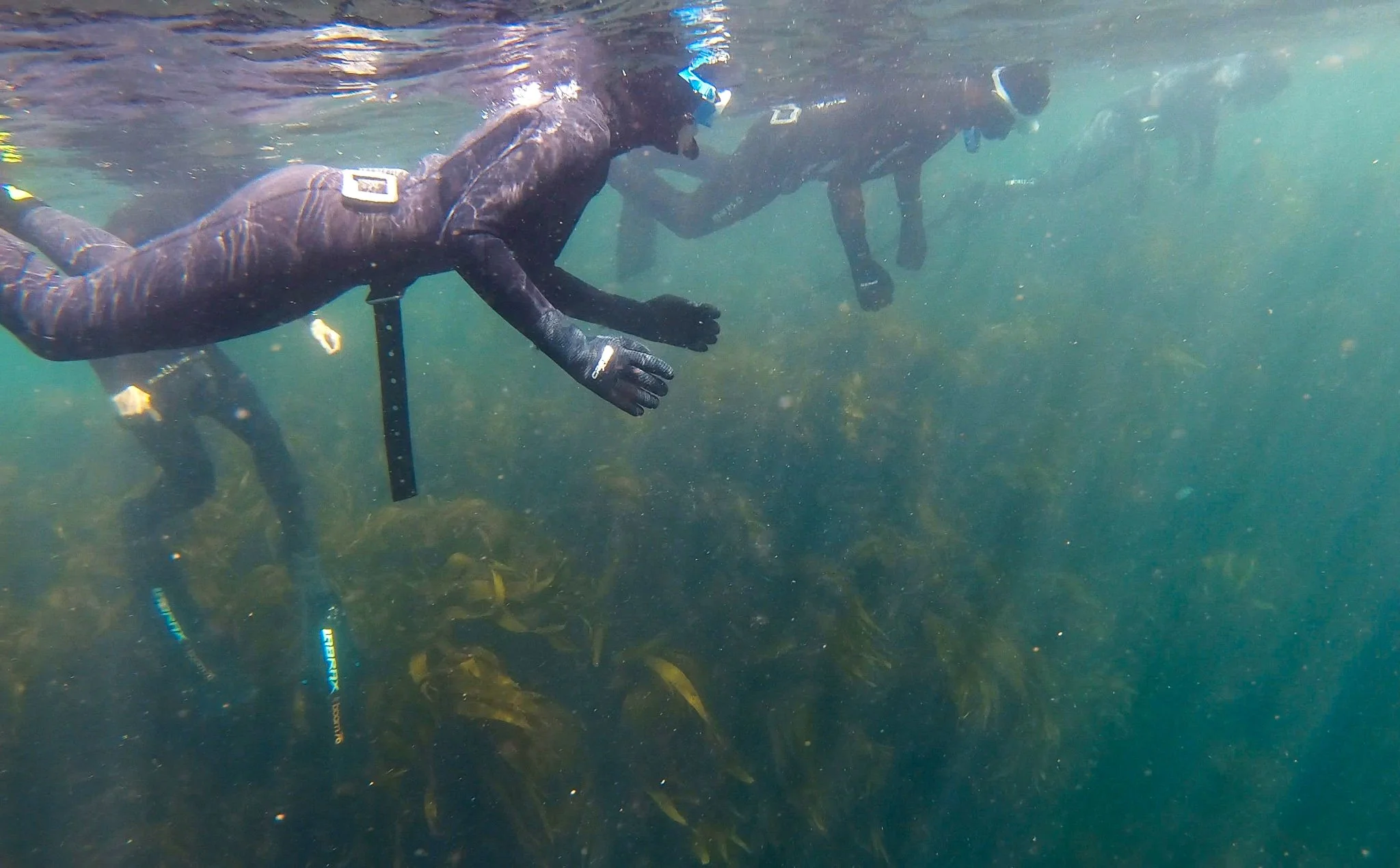 Why I can't promise you what the sea will look like next Friday