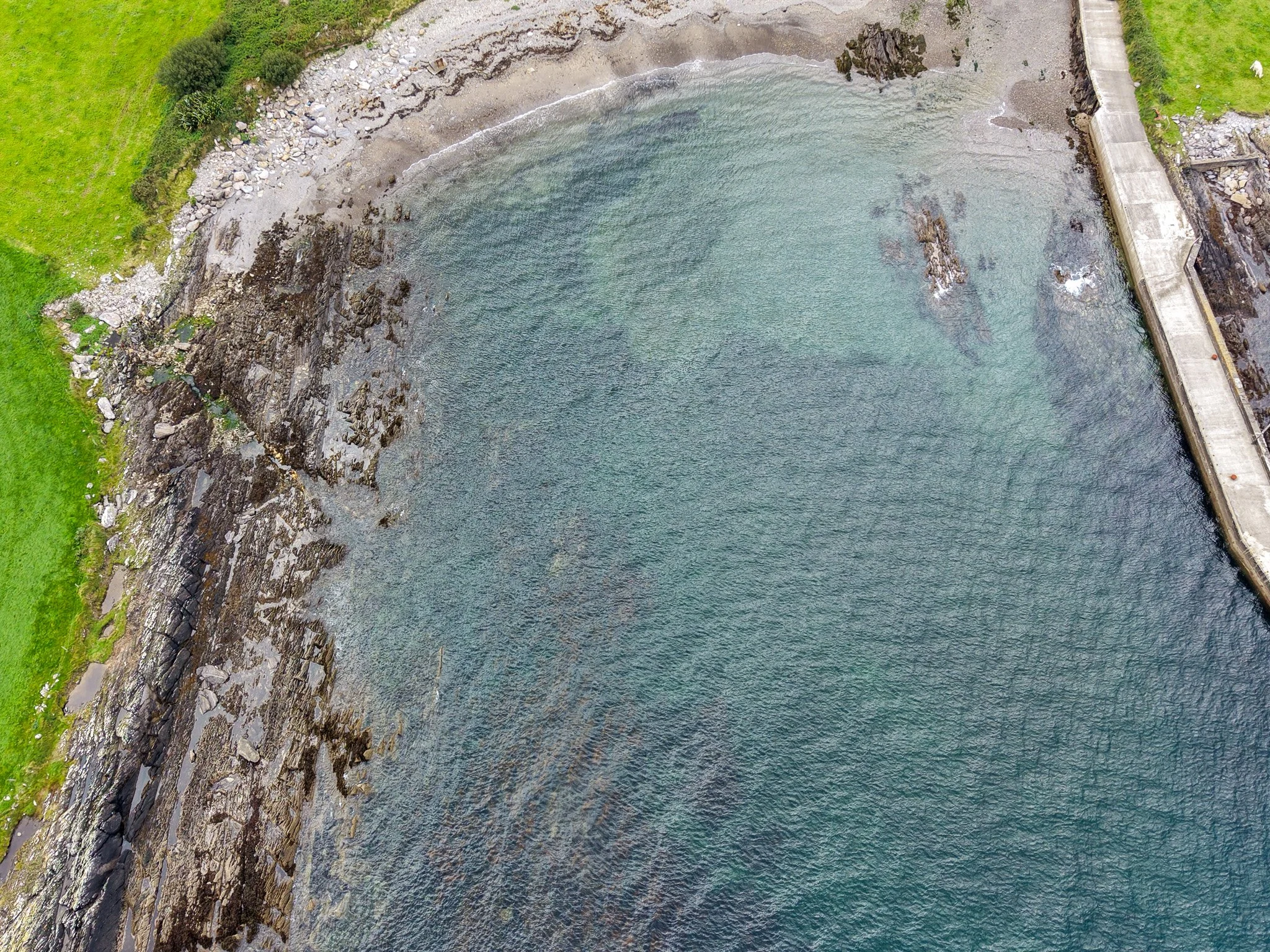 dji_fly_20260919_141604_0370_1790009061583_photo.jpg