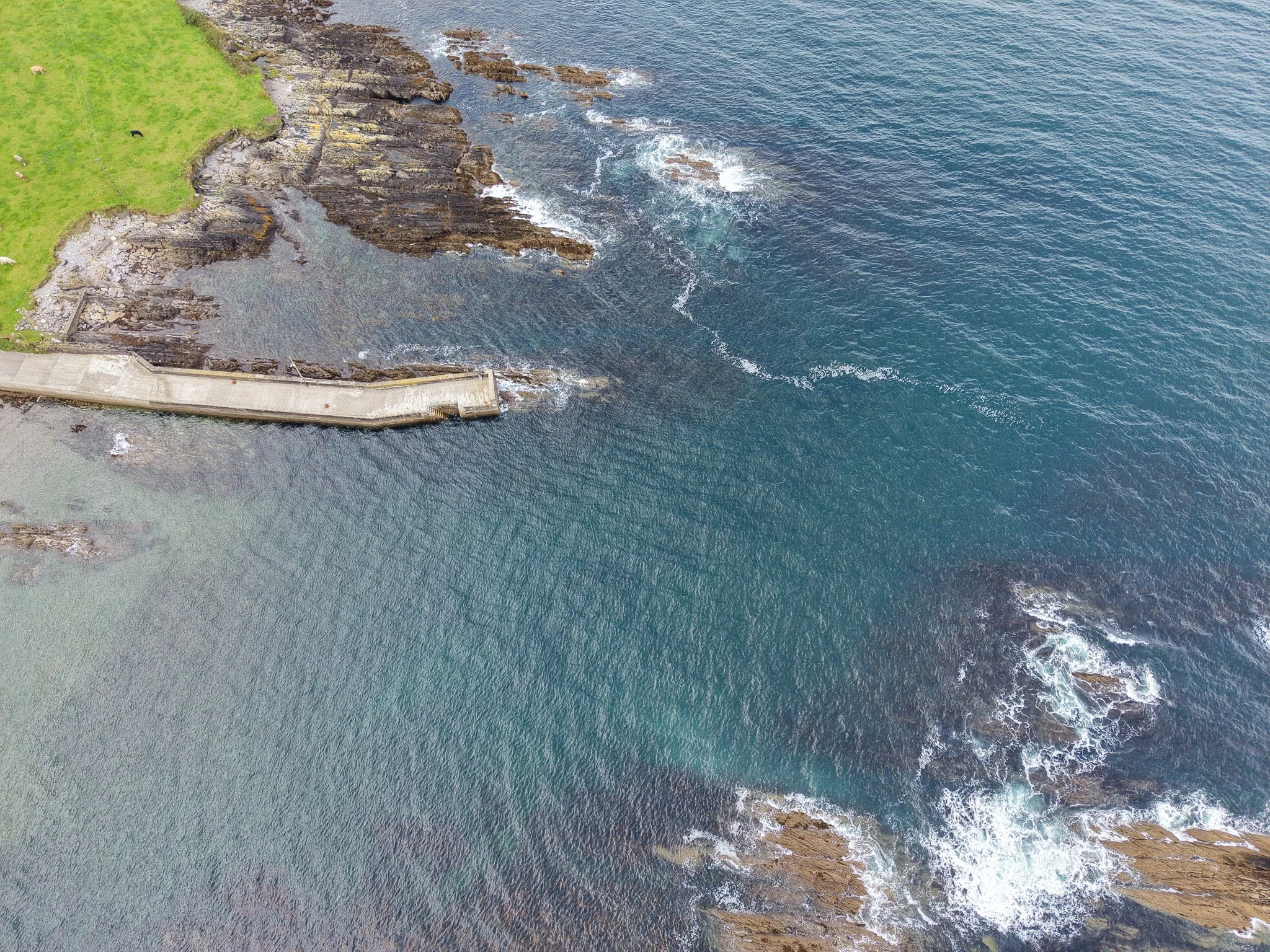 dji_fly_20260919_141606_0371_1790009061334_photo.jpg