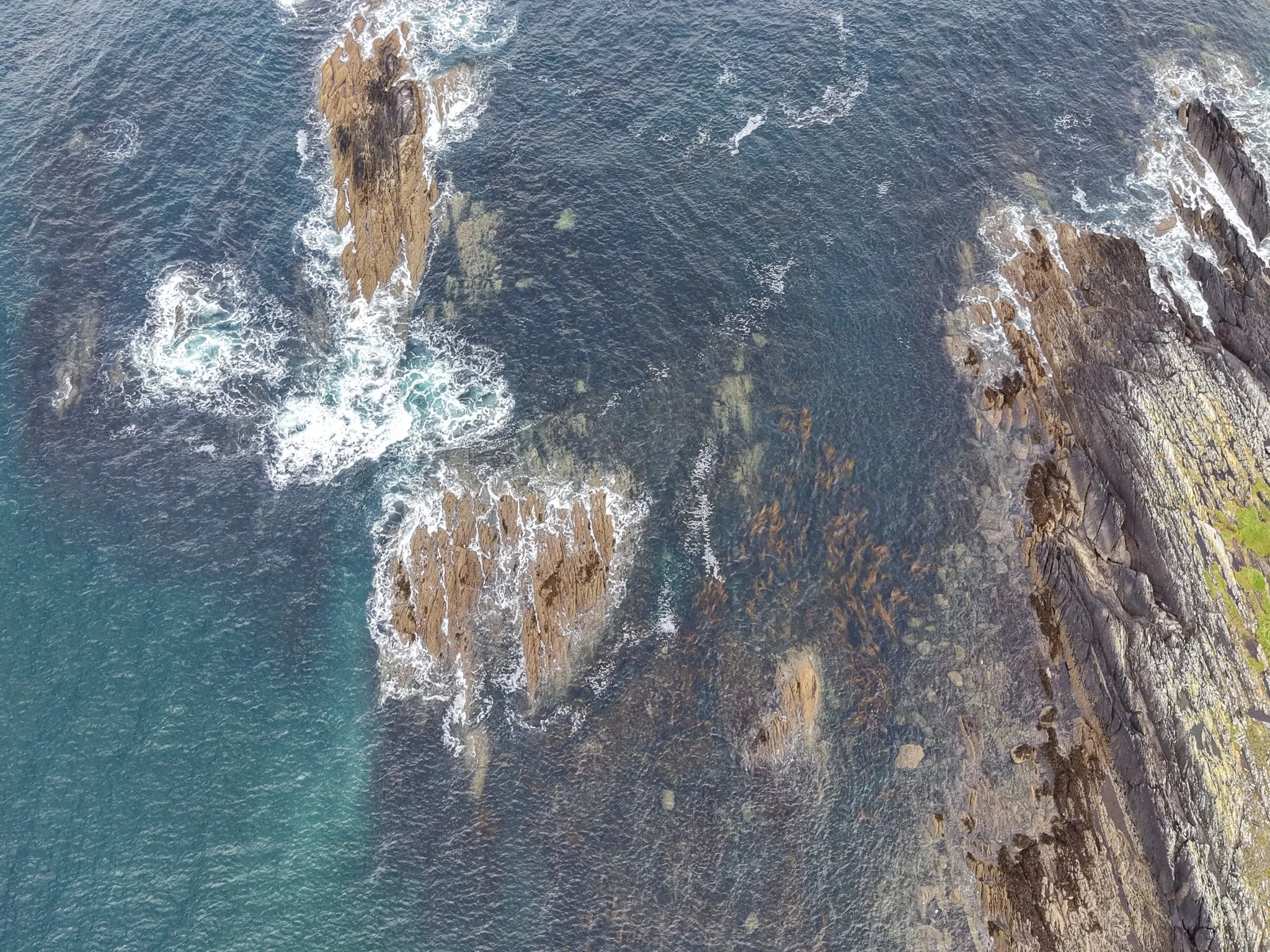 dji_fly_20260919_141612_0372_1790009061020_photo.jpg