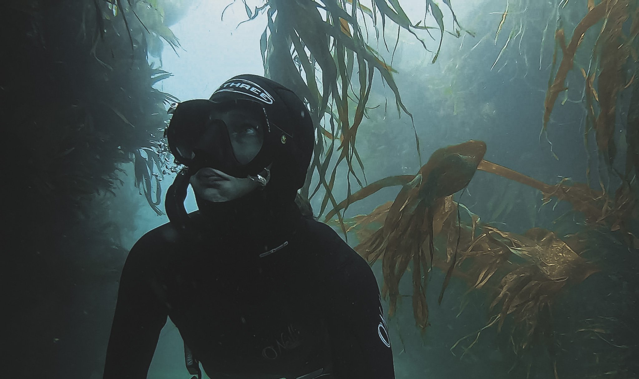 A woman freediving exploring irish kelp