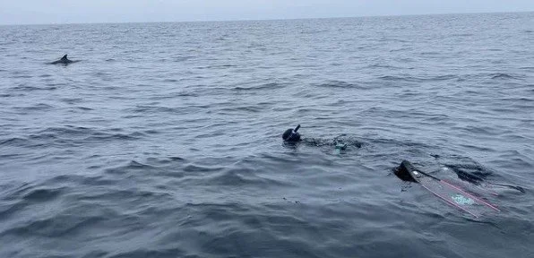 Screenshot 2026-01-11 143238.jpg